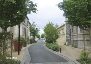 Plus de 4000 arbres et arbustes à Bastide Niel