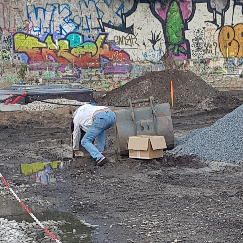 Un essaim d’abeilles sauvé à Bastide Niel