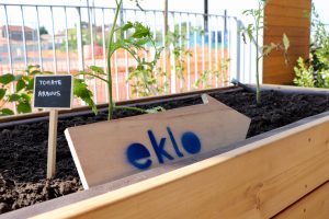 Eklo, le 5e hôtel le plus écologique de France est ouvert à Bastide Niel