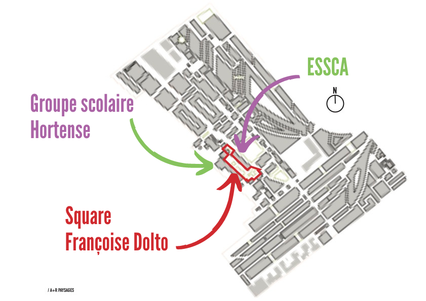 restitution square françoise dolto