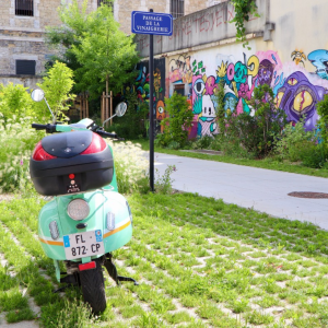 Bastide Niel : découvrez les premiers noms des rues