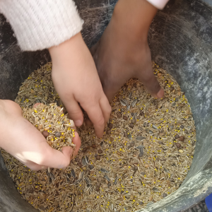 Les enfants plantent les arbres à Bastide Niel.