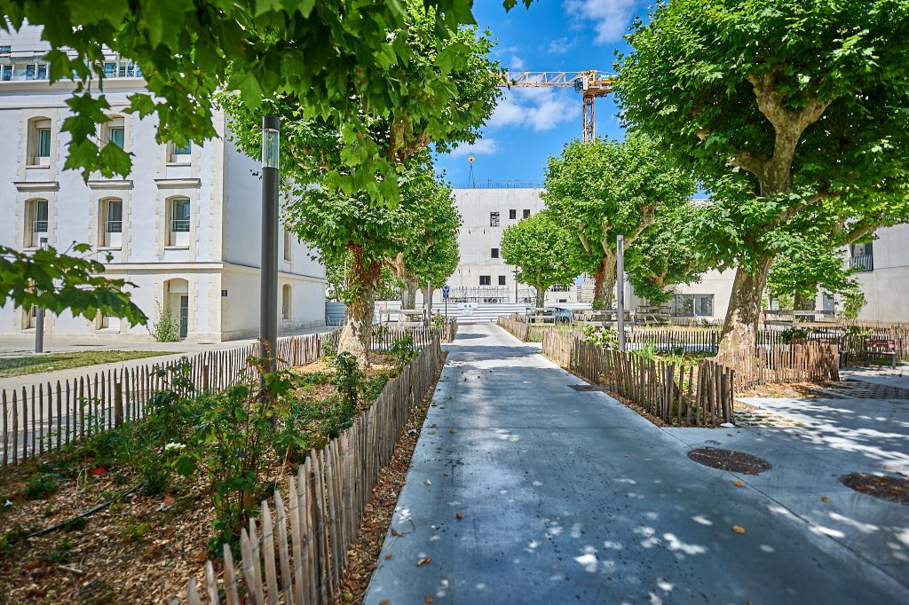 Allée des platanes bastide niel