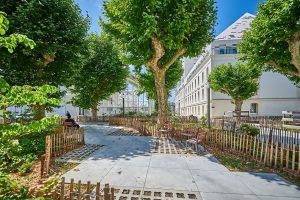 Allée des platanes bastide niel