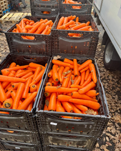 Circuits courts Bastide Niel