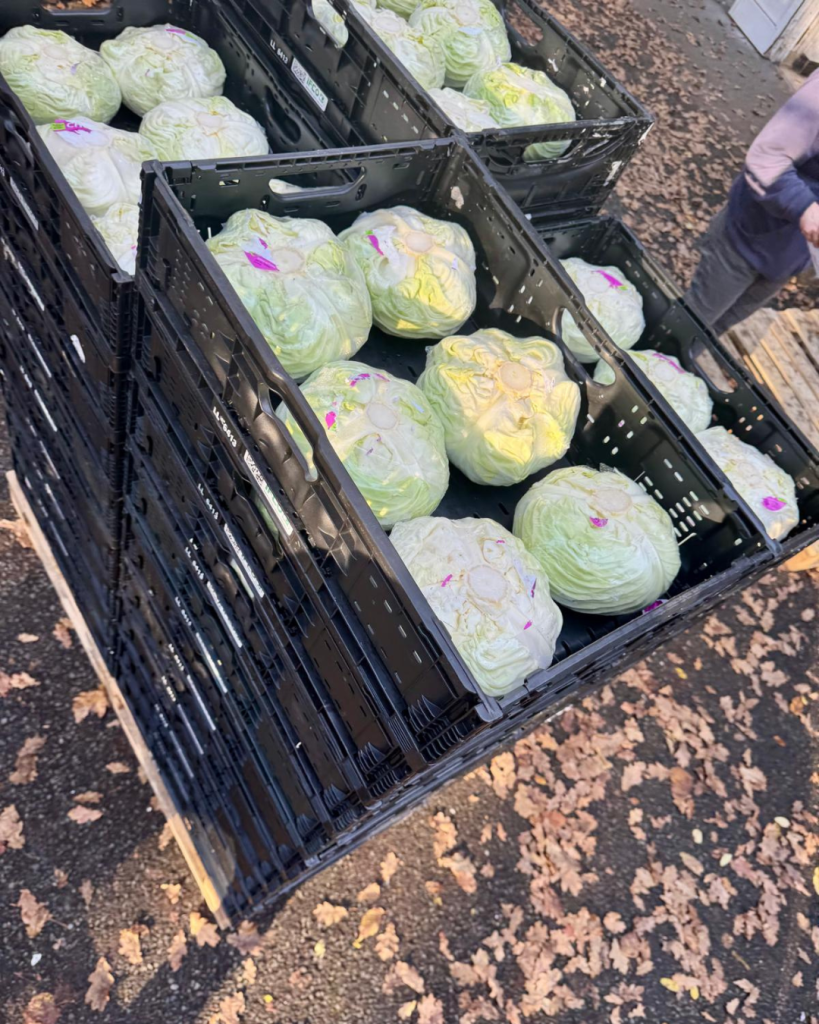 Circuits courts Bastide Niel