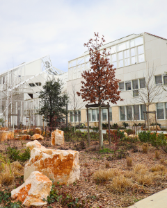 Square Françoise Dolto Bastide Niel