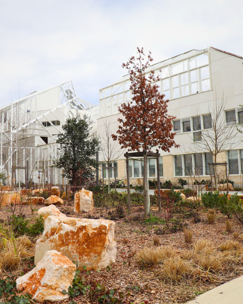 Square Françoise Dolto Bastide Niel