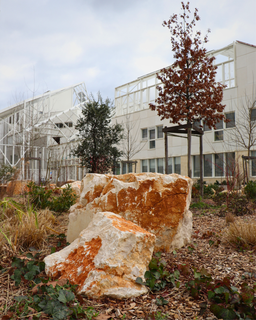 Square Françoise Dolto Bastide Niel