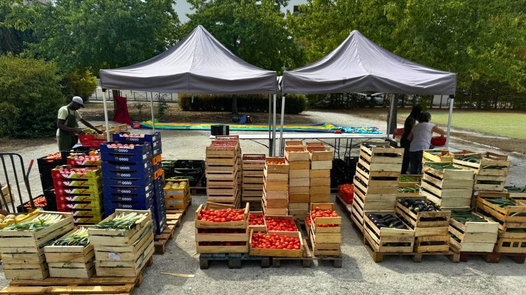 Le Fil des bons produits : « On ne vend pas des légumes, on nourrit nos voisins. »